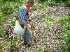 2003_0612_144350AA.jpg